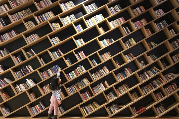 Meie lapse õiguste saadikute sulest on valminud lugu, mis räägib kirjandusest ja selle rollist, kulgedes läbi terve elukaare. Artikkel on pühendatud tänavu 30. 